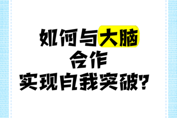 性格解析新视角：五行格局教你如何突破自我