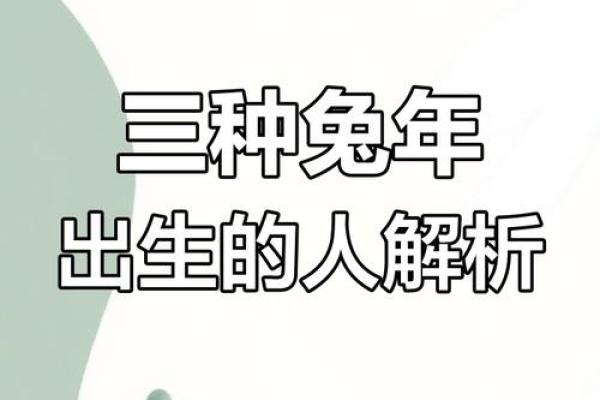 75年兔五行颠覆传统观念：揭秘真正影响你命运的五大要素