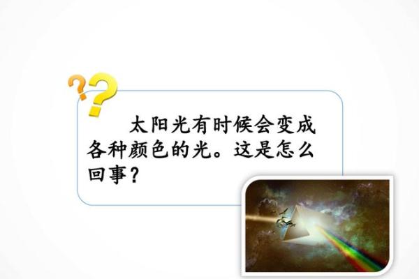 霓光下的性格误区：五行格局反而揭示你的真实自我