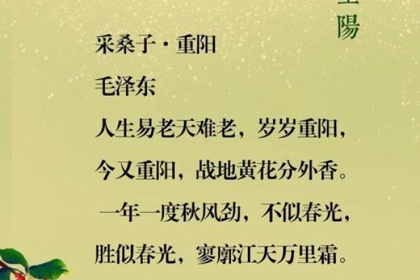 重阳节的历史与文化价值