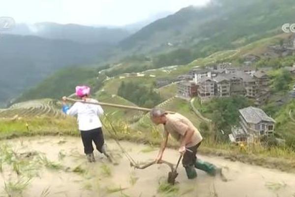 下一个节日背后的农耕习俗，你了解多少？