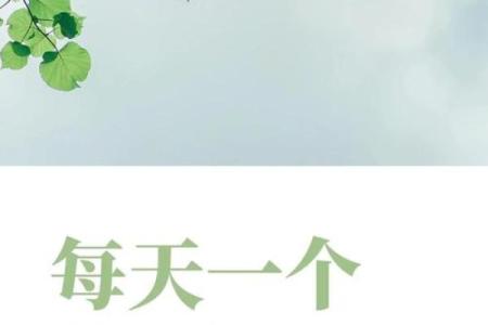 节日背后藏着哪些养生与生活的秘密？