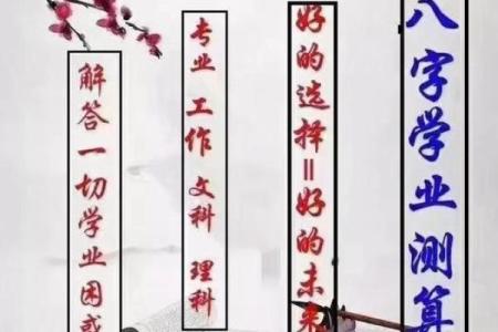 如何改变命运？从任嘉伦的八字看命运密码