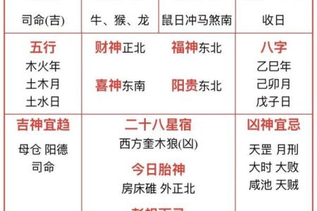 老鼠五行格局揭秘：性格解析与如何改变运势