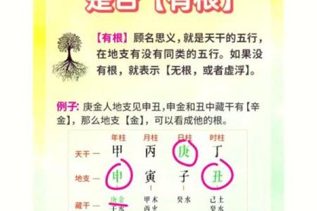 丙戌日命理：揭开命运密码，如何通过八字改变人生轨迹