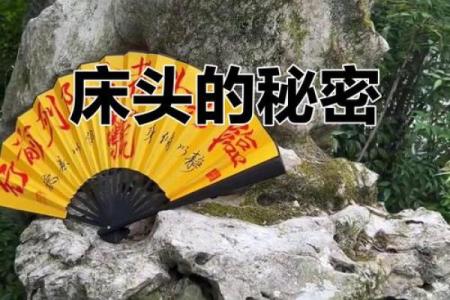 刘銮雄命理深度剖析：命运密码背后隐藏的财富玄机
