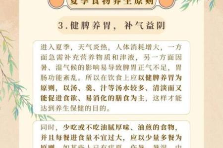 养生贴士：炎热夏季中的健康饮食与生活建议