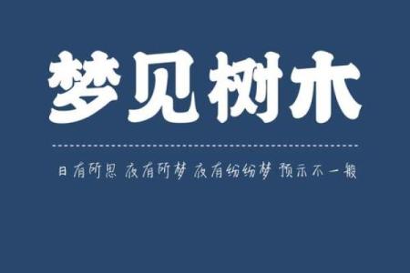 五行格局揭秘：妤的个性密码，性格解析带你走进内心世界