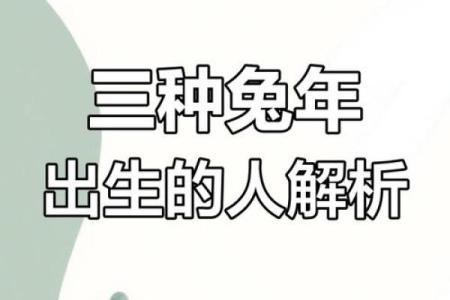 75年兔五行颠覆传统观念:揭秘真正影响你命运的五大要素