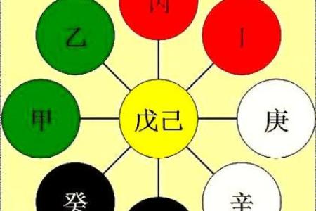 87年兔年五行格局揭秘：性格解析如何影响人生走向？