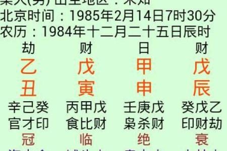 李阳命理揭秘：你忽视的八字误区，可能正在影响你的未来