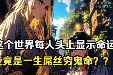 命运密码：命理风水师招聘背后的颠覆性真相
