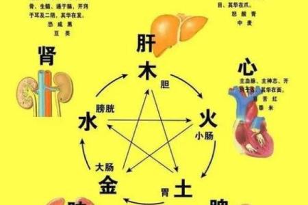 五行格局大揭秘:如何通过石头改变你的运势与性格