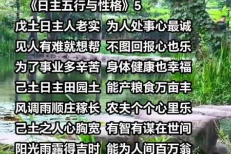 五行中的佳：揭秘性格特质，颠覆传统，反而能助你成功