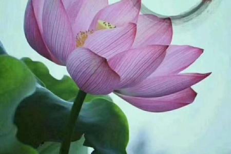 丙生午月命理：误区解析，如何在命运中找到真正的方向