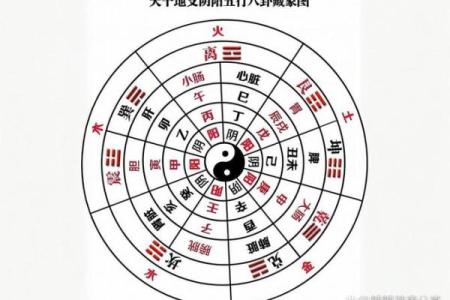 桸木五行格局大揭秘:性格解析中的风水布局之道