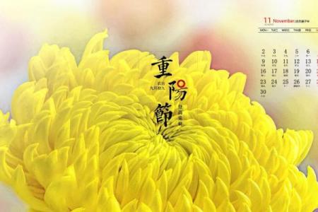 重阳节日历：探寻养生与习俗的完美结合
