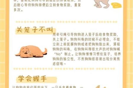 如何改变?打破宠物性格五行误区,提升相处之道