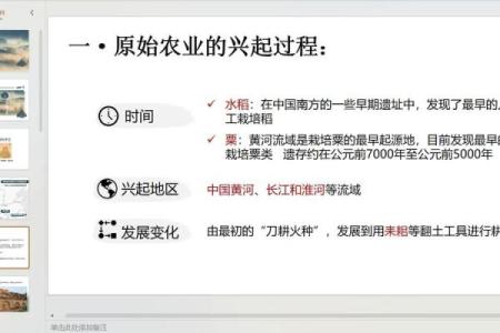 与农业的深厚渊源：探讨农耕文化中的特殊日子