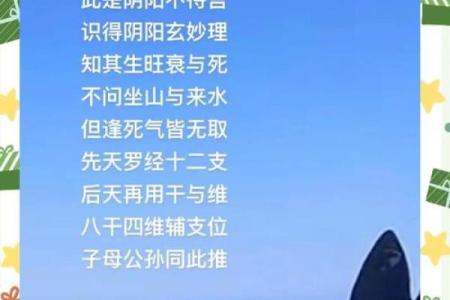 亦字五行格局揭秘:性格解析中的阴阳平衡之道