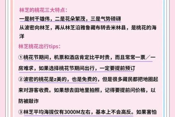 探秘桃花节习俗：如何在节日中祈福与庆祝