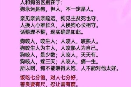 误入歧途？揭开狗年八字中的命运玄机