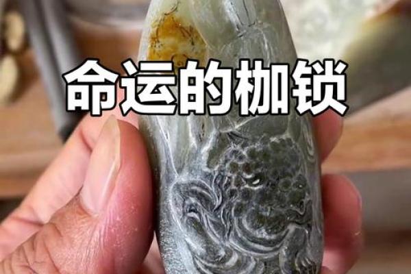 如何通过八宅命理打破命运束缚，迎接全新转机