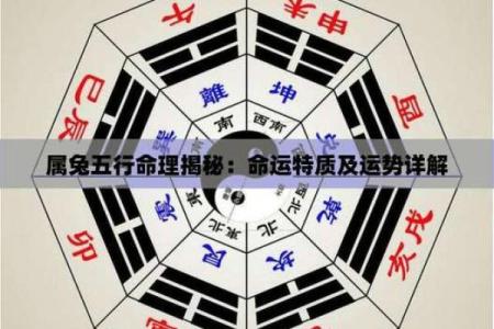 揭秘生肖运势：五行格局如何影响你的性格解析
