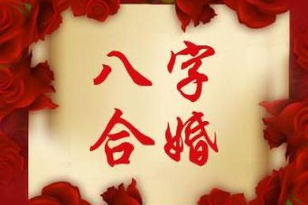 沈五行格局解析：走出性格误区，开启幸福人生之路