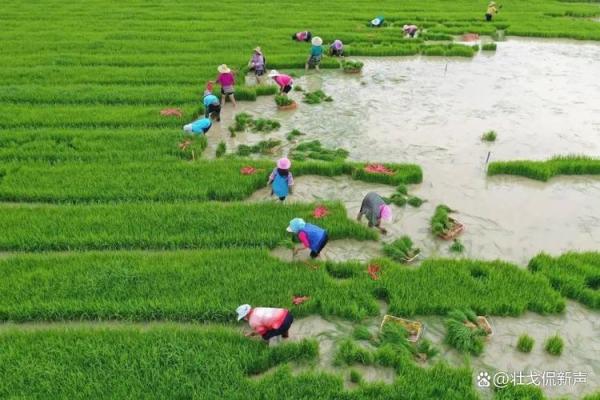 农耕季节的传统习俗