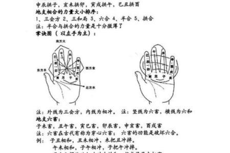 数字藏玄机，颠覆传统命理观念，如何利用它逆袭命运