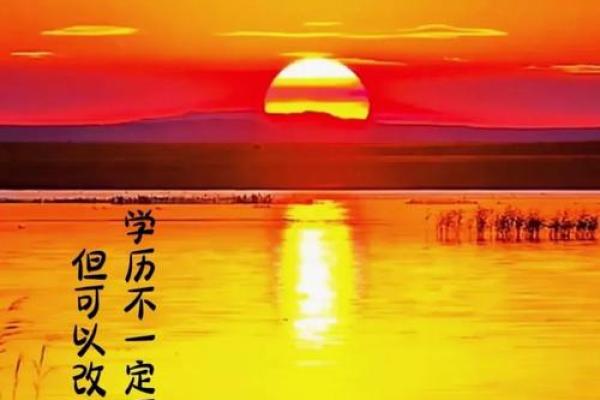 任家萱的八字命理：改变命运的关键在于这一点