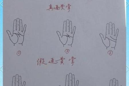 丁亥月命理:命运密码中的隐藏力量,如何掌控未来