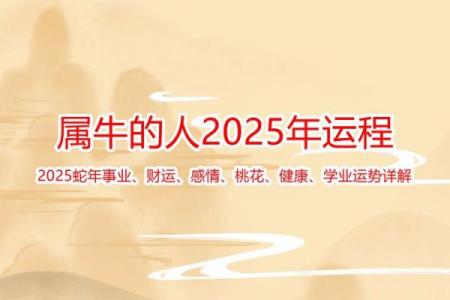 1973年属牛的你,如何改变五行格局,开启人生新篇章?