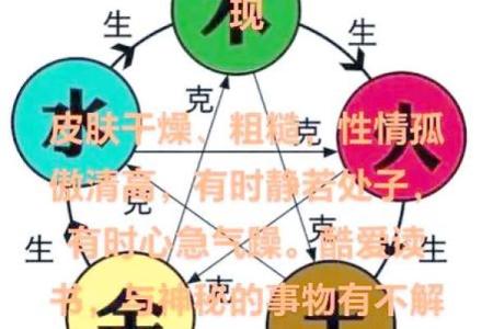 木性格局的智慧:如何利用五行格局,提升你的个人魅力?