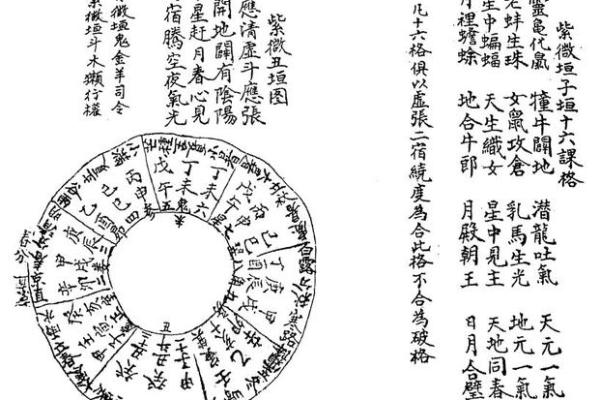 薇五行属性误区大揭秘：颠覆传统，如何正确改变？