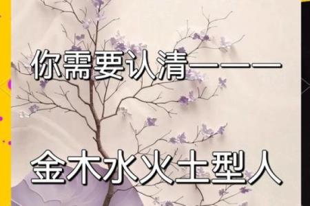 性格解析新篇章:五行格局如何影响你的命运轨迹