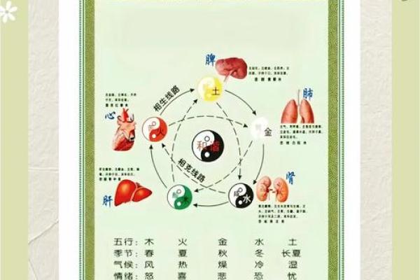 五行格局揭秘：思维的力量如何影响性格？颠覆传统，教你如何改变