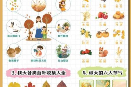 秋收后的养生秘诀与传统习俗