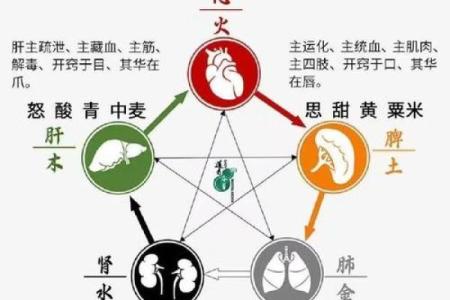 1972年五行格局揭秘：性格解析中的生活智慧