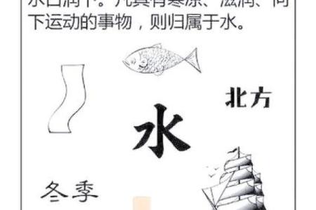 五行格局的实用指南:学会调整,让你的生活更加和谐美满