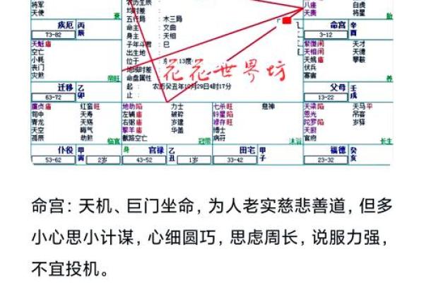 如何改变五行格局?三月运势提升攻略,揭秘你的性格弱点 如何改变五行格局?三月运势提升攻略,揭秘你的性格弱点