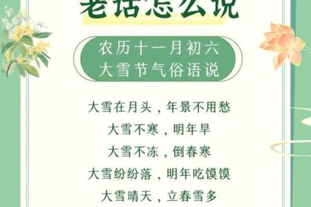 走进冬季节气：了解十二月的农耕习俗