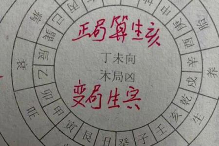 丁丑日命理揭秘：改变命运，揭开暗藏玄机的钥匙