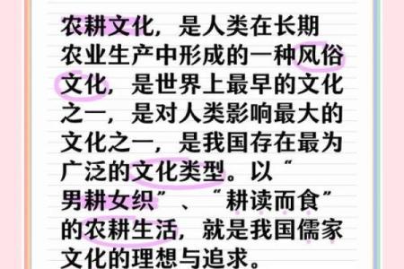秋风起，探秘秋季节日中的古老农耕智慧