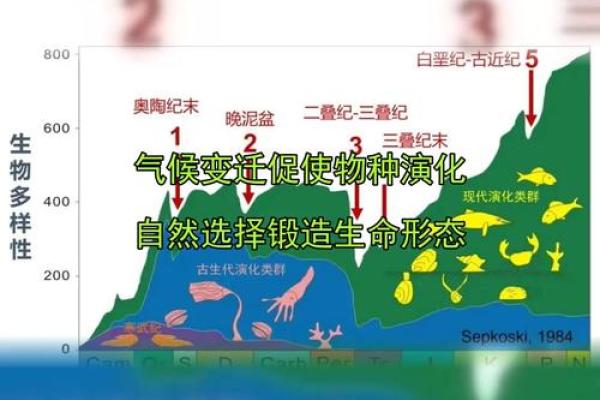 气的历史渊源与现代意义:从农耕到都市的转变 气的历史渊源与现代意义:从农耕到都市的转变