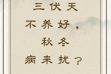 鬼节与五行养生：传统节令对身体的调养作用