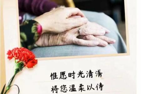 如何通过传统养生习惯为母亲庆祝母亲节