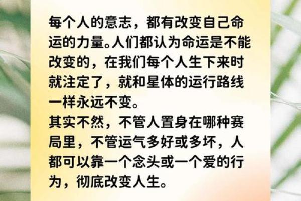如何改变命理师的收入，揭开命运密码的真相