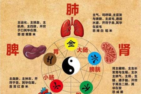 性格解析新视角：五行相生相克，你的潜能有多大？
